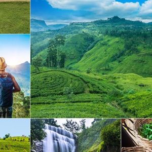 Kandy - Nuwara Eliya