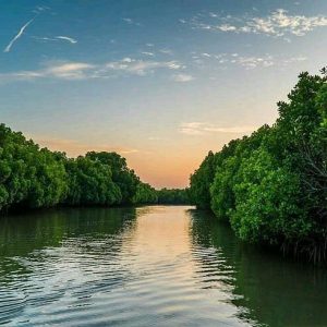 madu-river-known-for